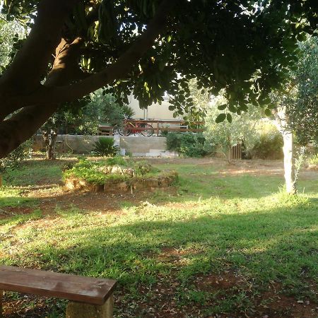 Aquilone Apartamento Castelluzzo Exterior foto